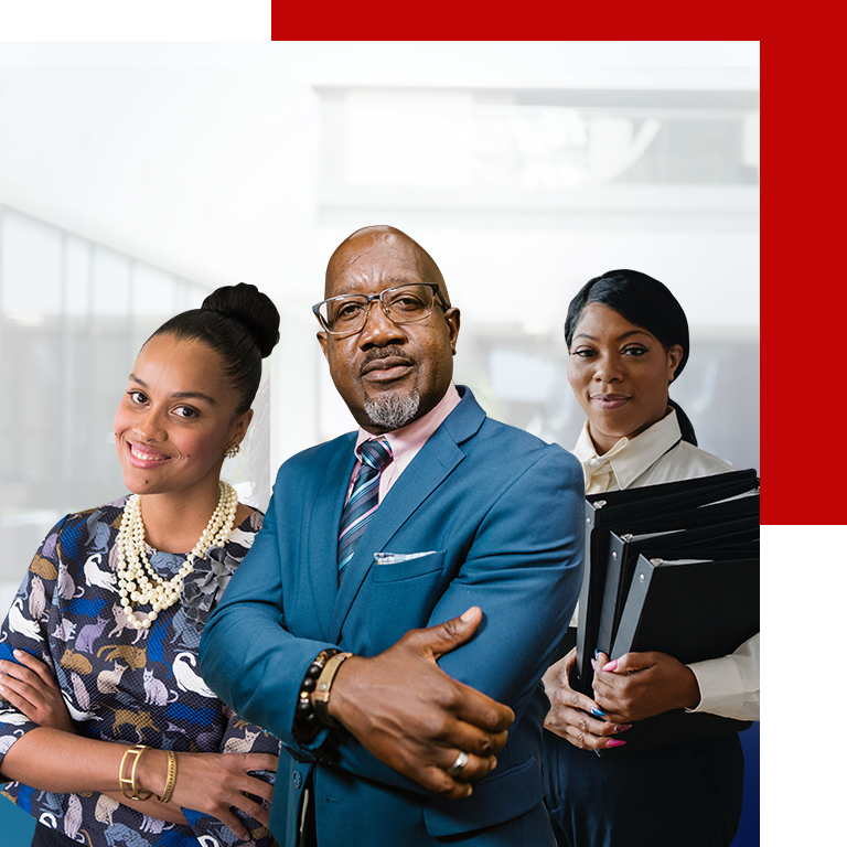 Ace Group For Government